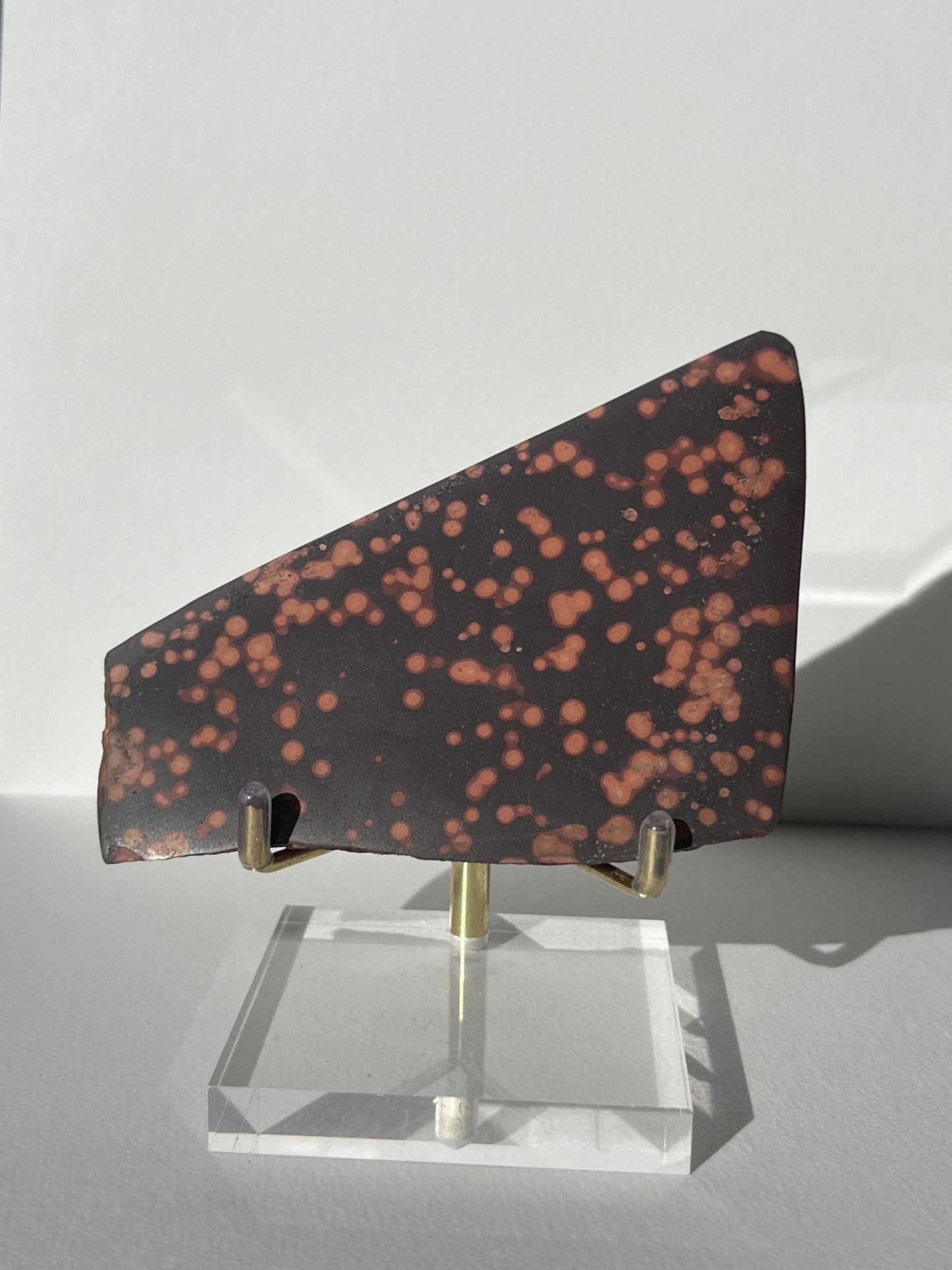 Astronomite Polished Slab E
