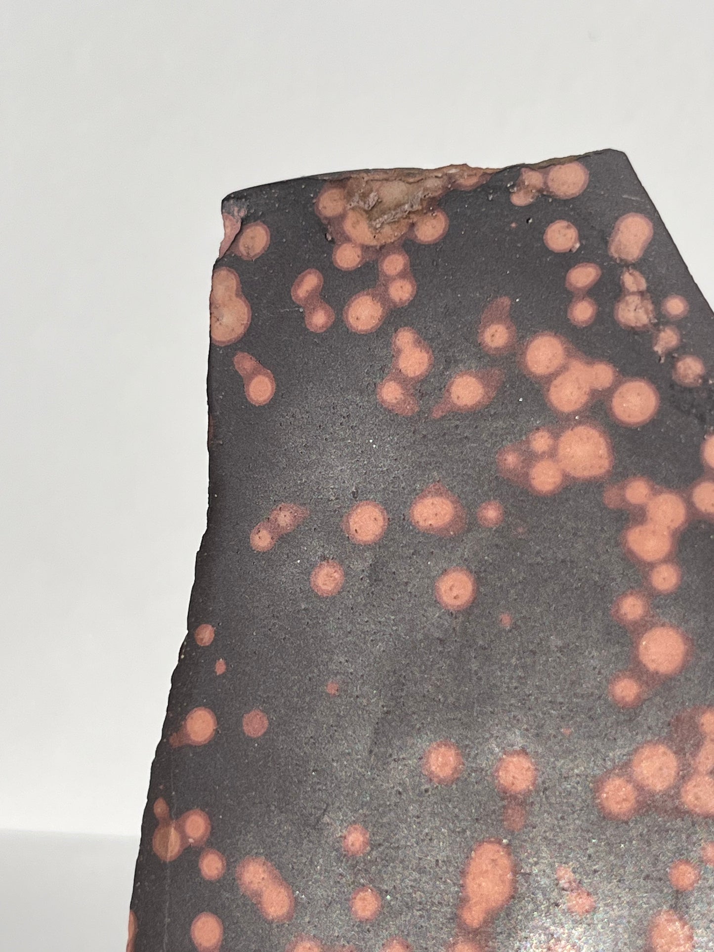 Astronomite Polished Slab E