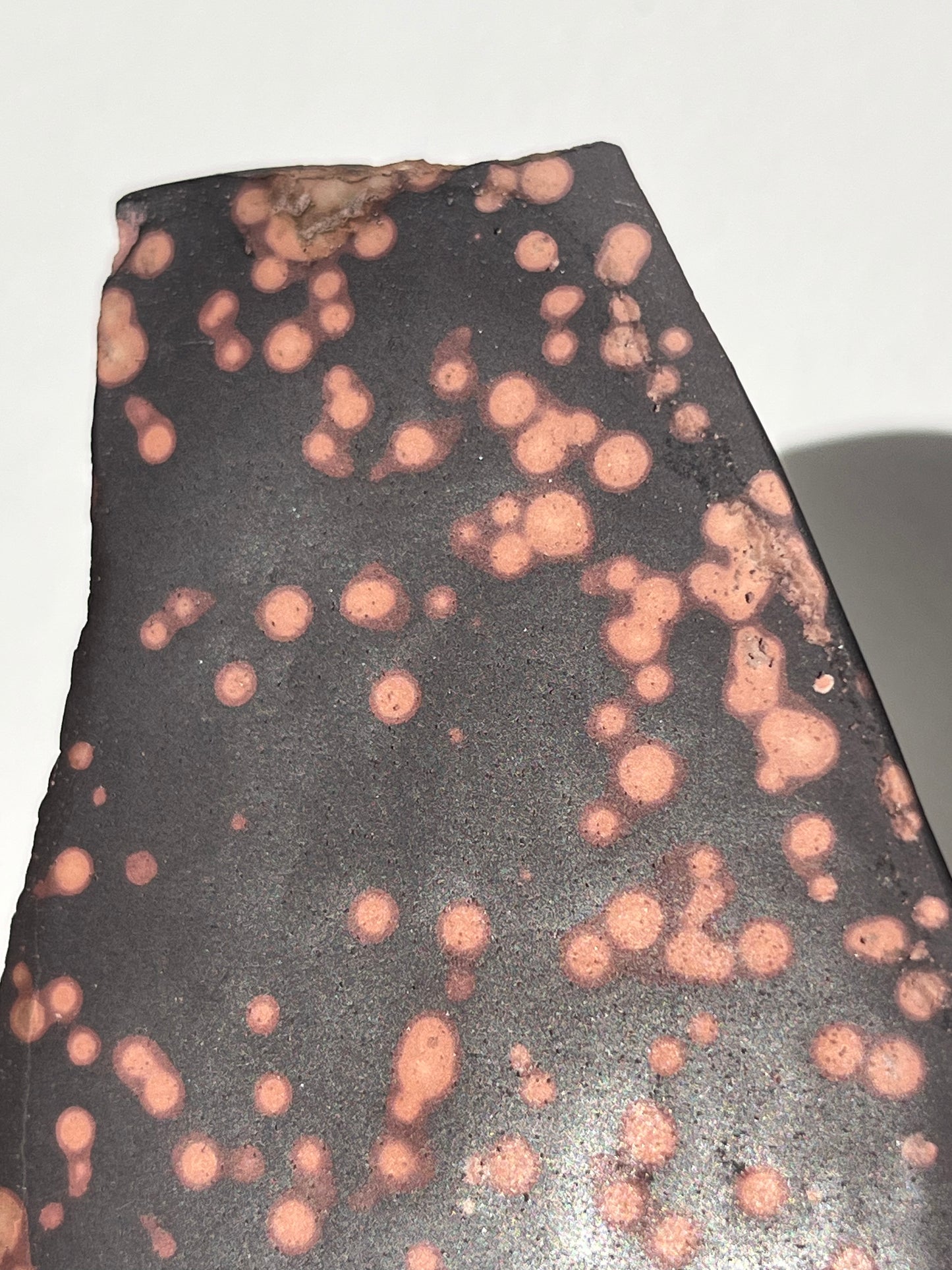 Astronomite Polished Slab E