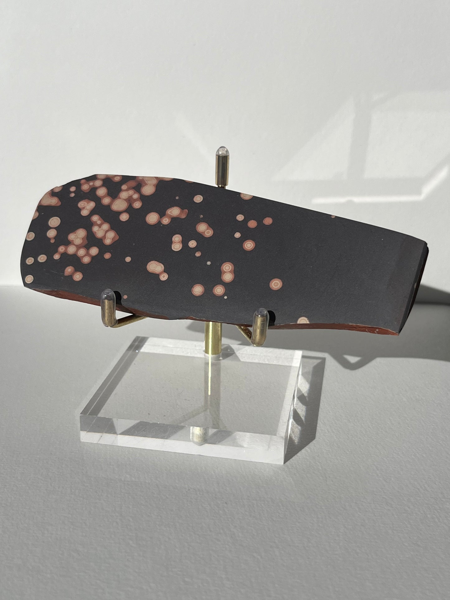 Astronomite Polished Slab F