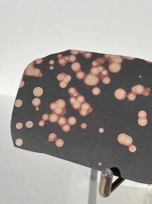 Astronomite Polished Slab F