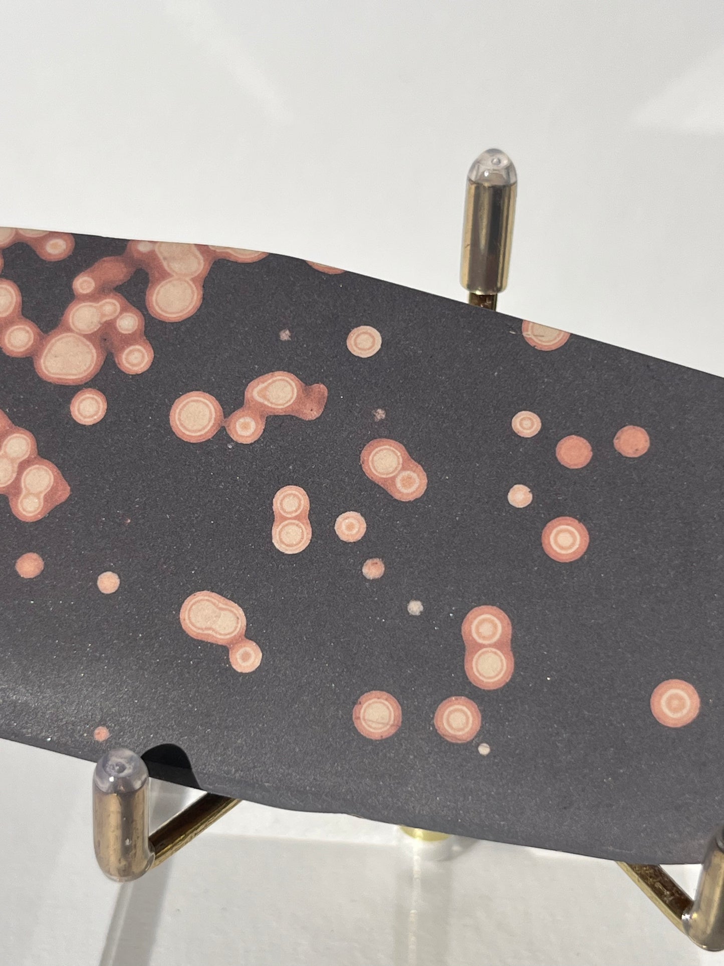 Astronomite Polished Slab F