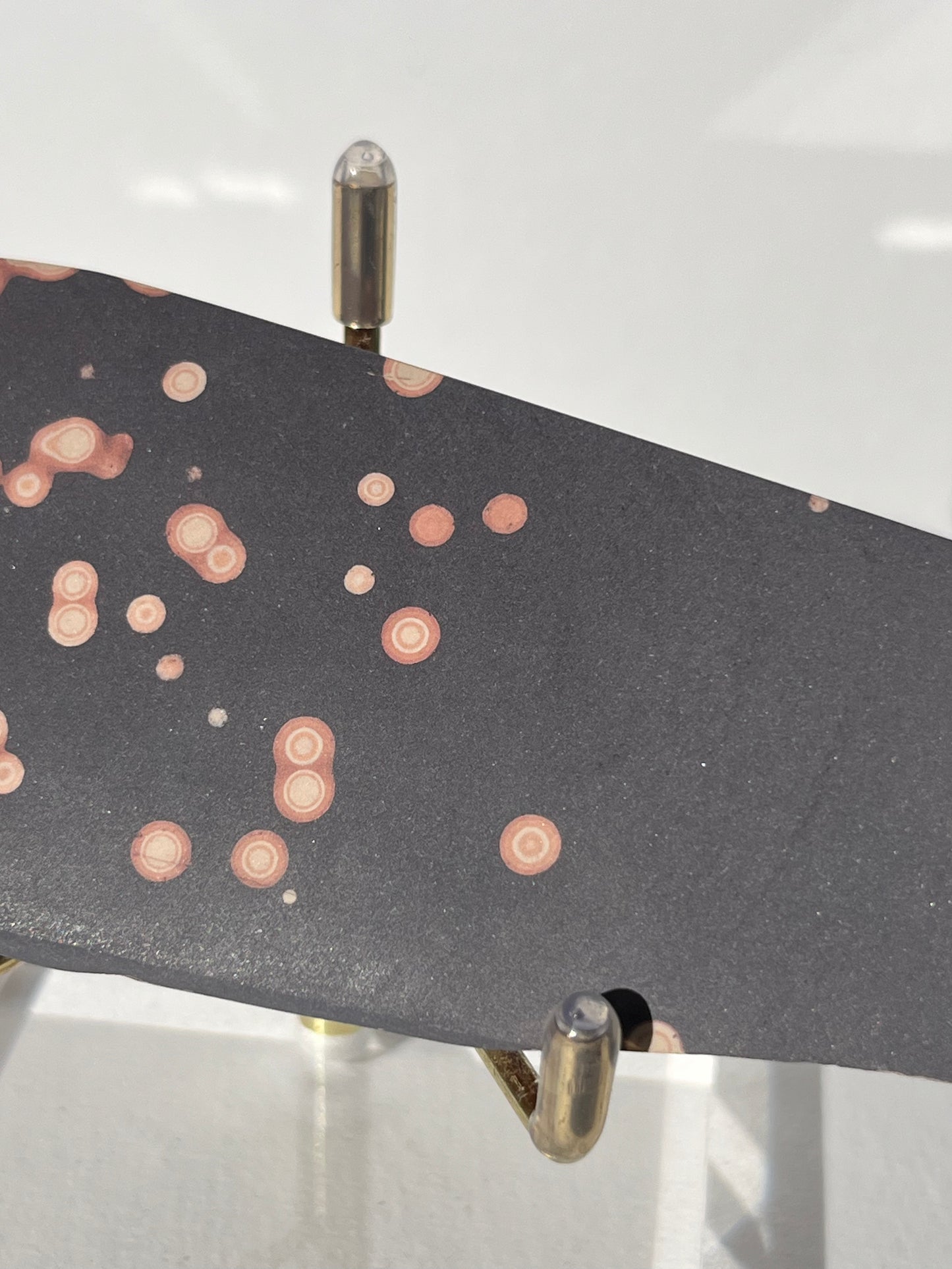 Astronomite Polished Slab F