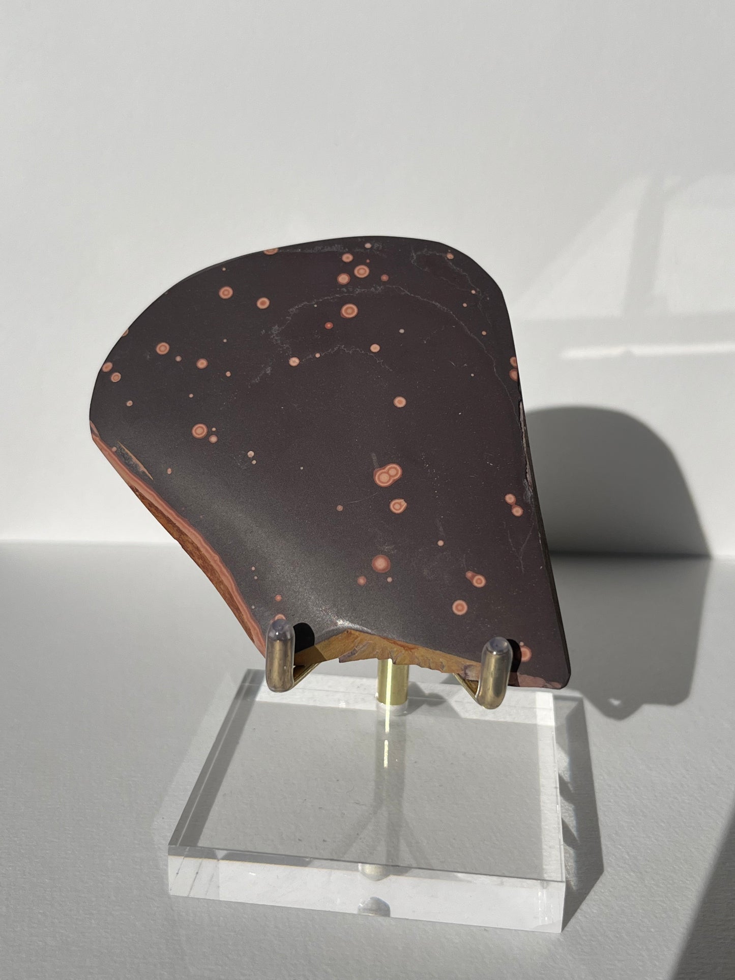 Astronomite Polished Slab G