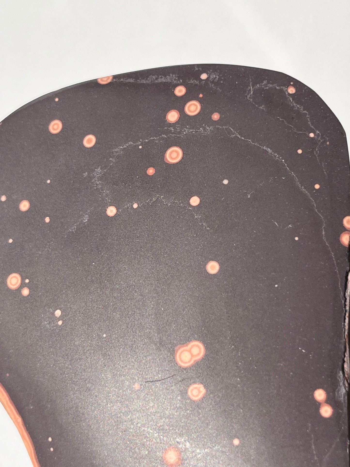 Astronomite Polished Slab G