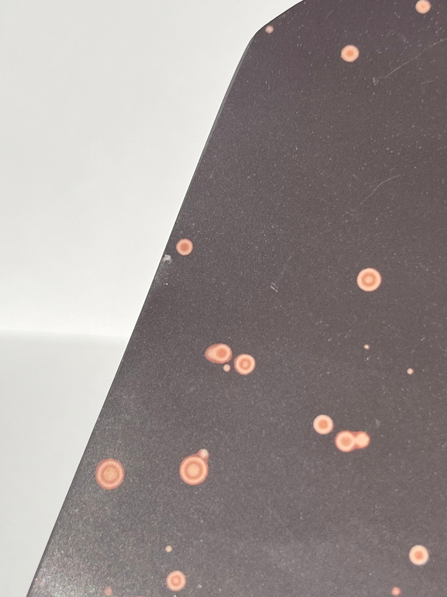 Astronomite Polished Slab G