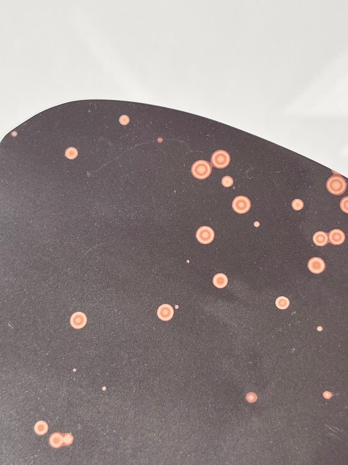 Astronomite Polished Slab G