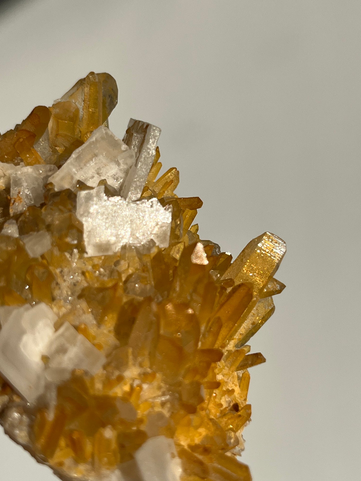 Natural Aura Coated Golden healer Quartz with Prismatic Calcite Specimen