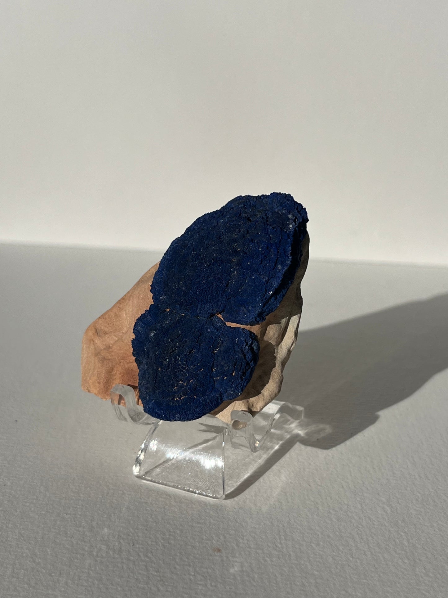 Azurite Sun on Tan Clay Specimen I