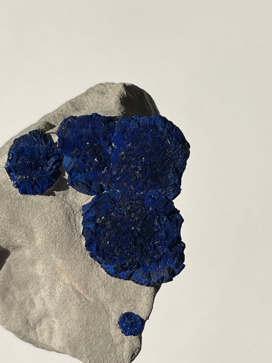 Azurite Sun on Clay Specimen L