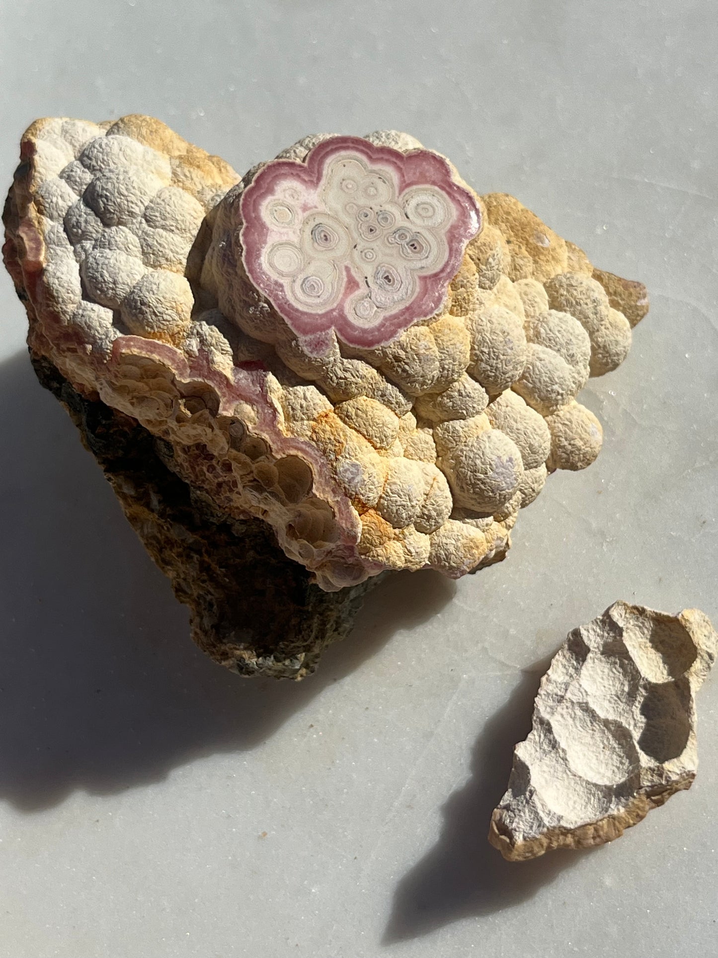 ‘Moonrock’ Botryoidal Rhodochrosite Specimen w/Cap #3