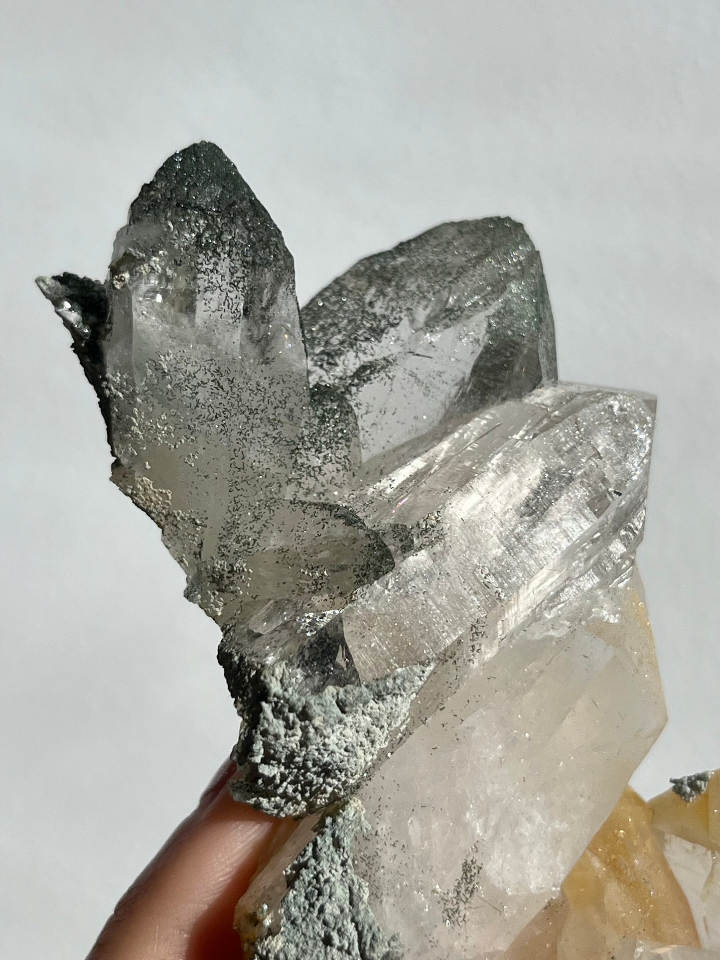 Chlorite Himalayan Quartz Cluster w/Golden Healer, Rutile & Sparkly Anatase Inclusions #7