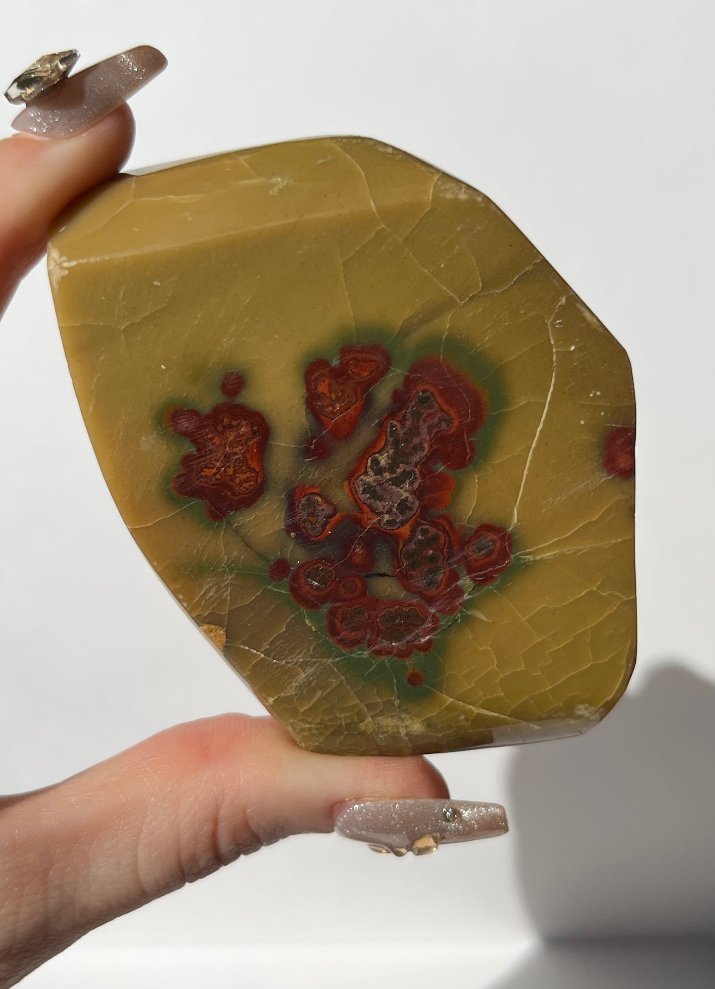 “Seeds of Life” Batu Seniman Picture Jasper Polished Freeform A