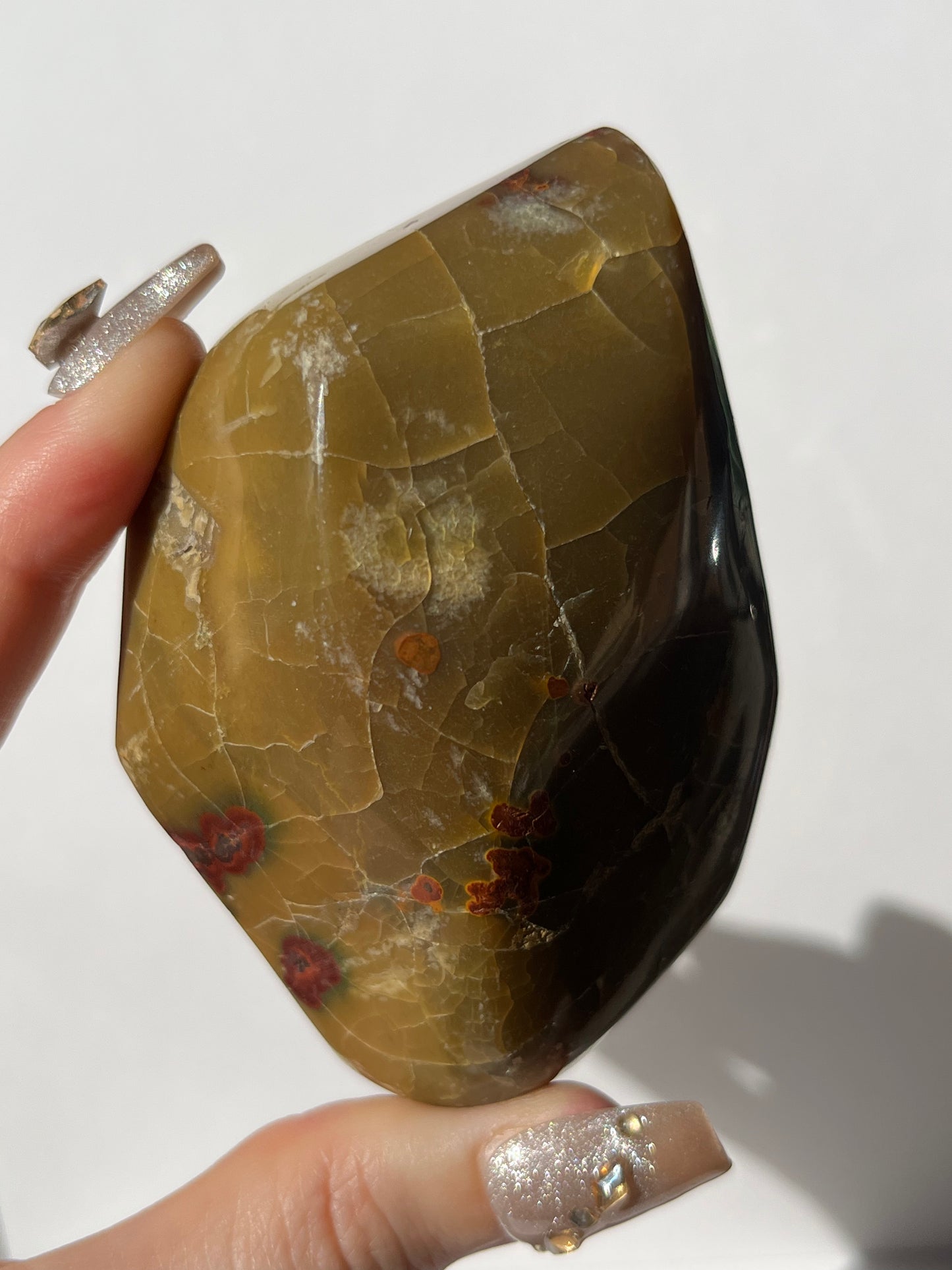 “Seeds of Life” Batu Seniman Picture Jasper Polished Freeform A