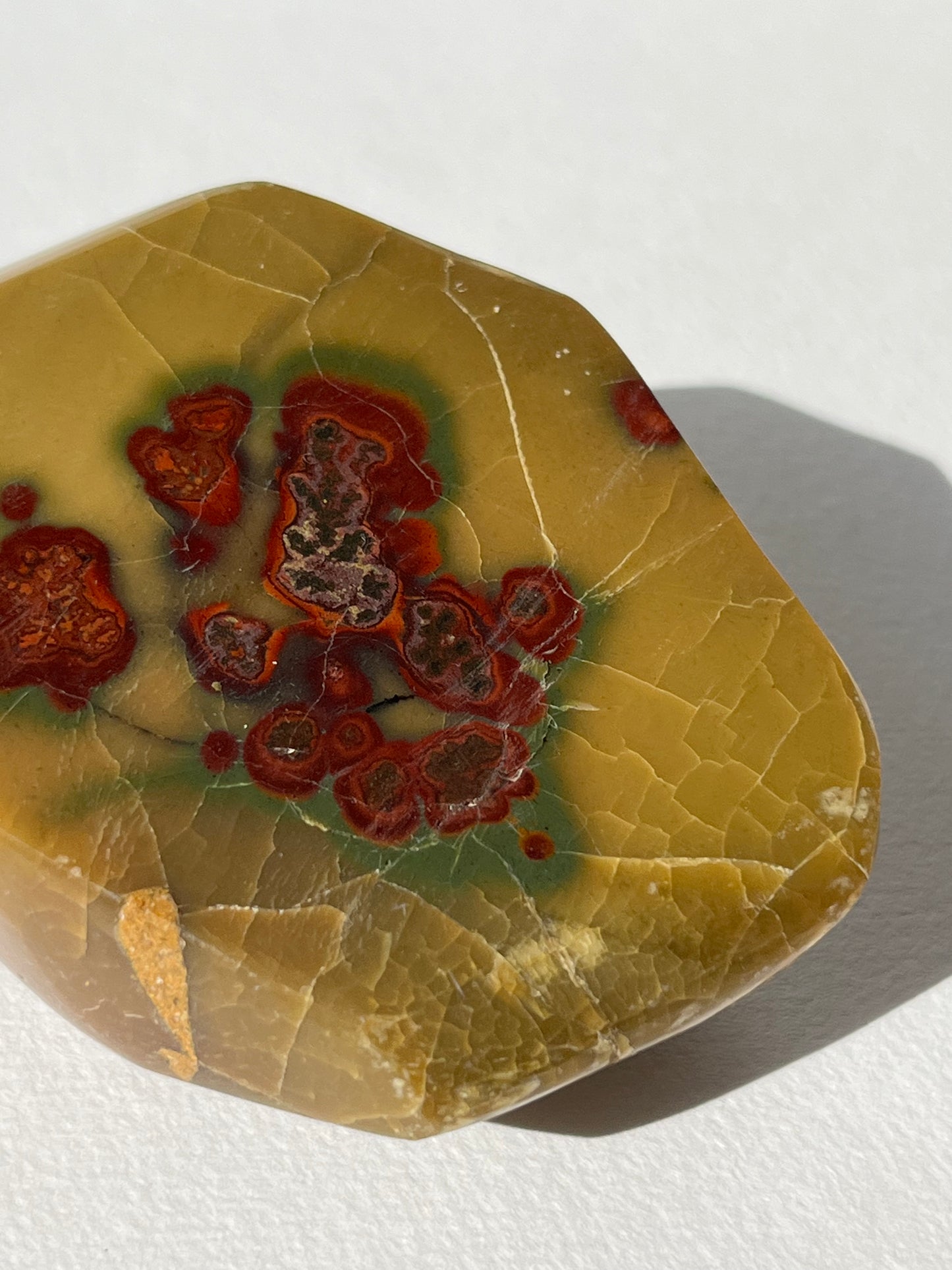 “Seeds of Life” Batu Seniman Picture Jasper Polished Freeform A