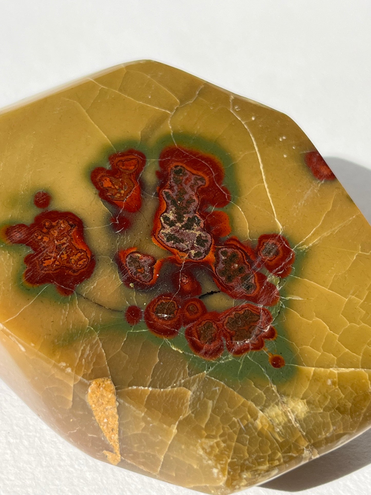 “Seeds of Life” Batu Seniman Picture Jasper Polished Freeform A