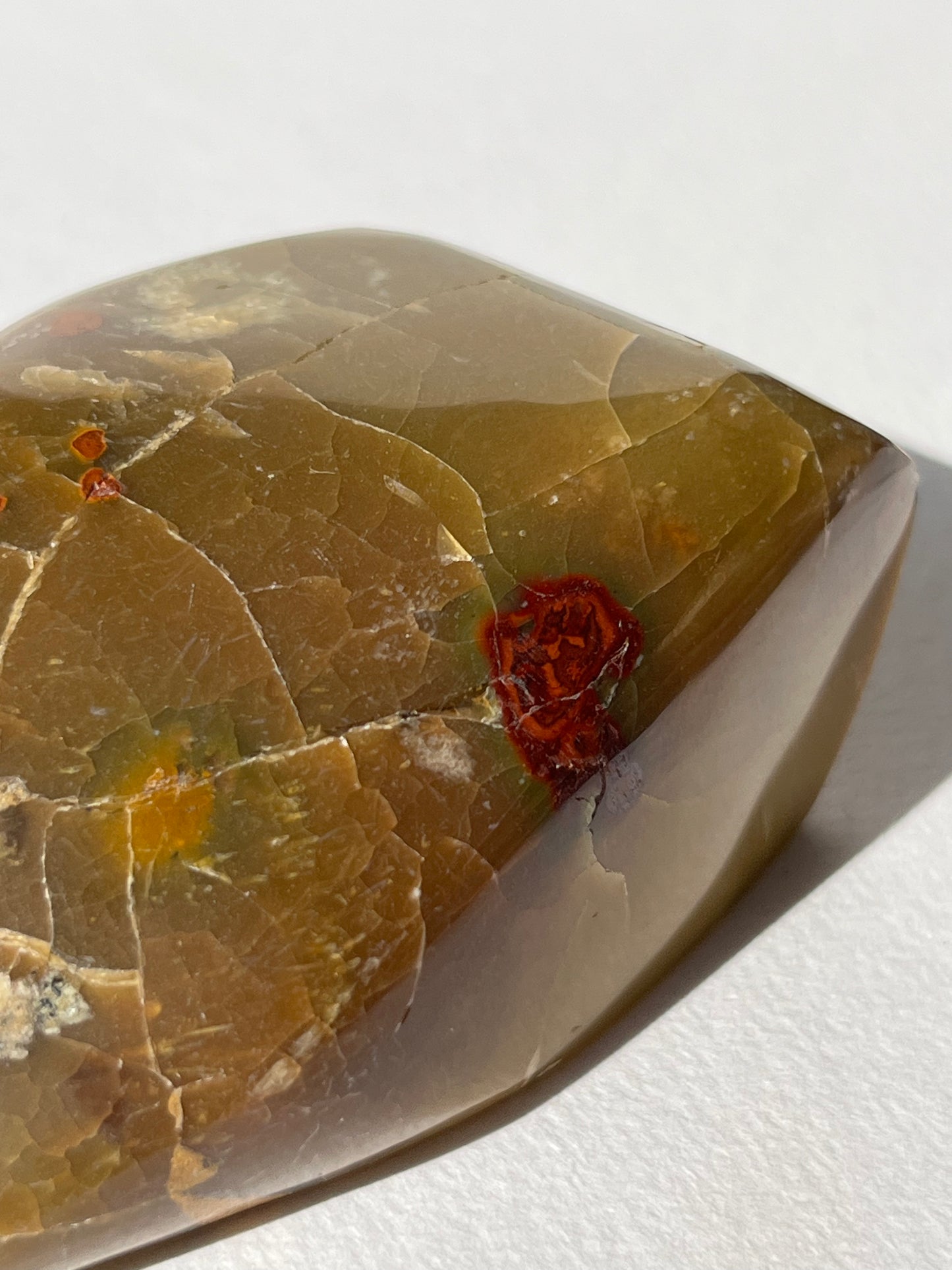 “Seeds of Life” Batu Seniman Picture Jasper Polished Freeform A