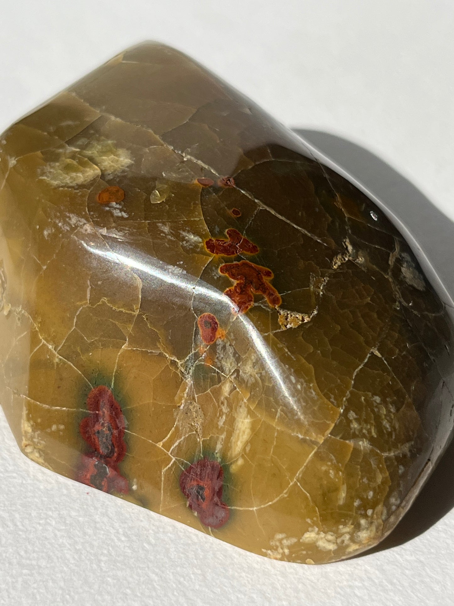 “Seeds of Life” Batu Seniman Picture Jasper Polished Freeform A