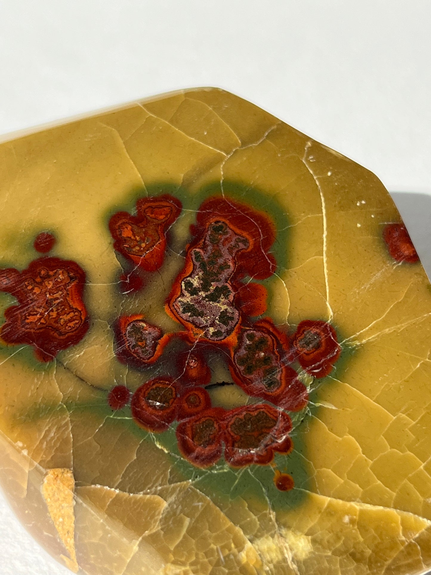 “Seeds of Life” Batu Seniman Picture Jasper Polished Freeform A