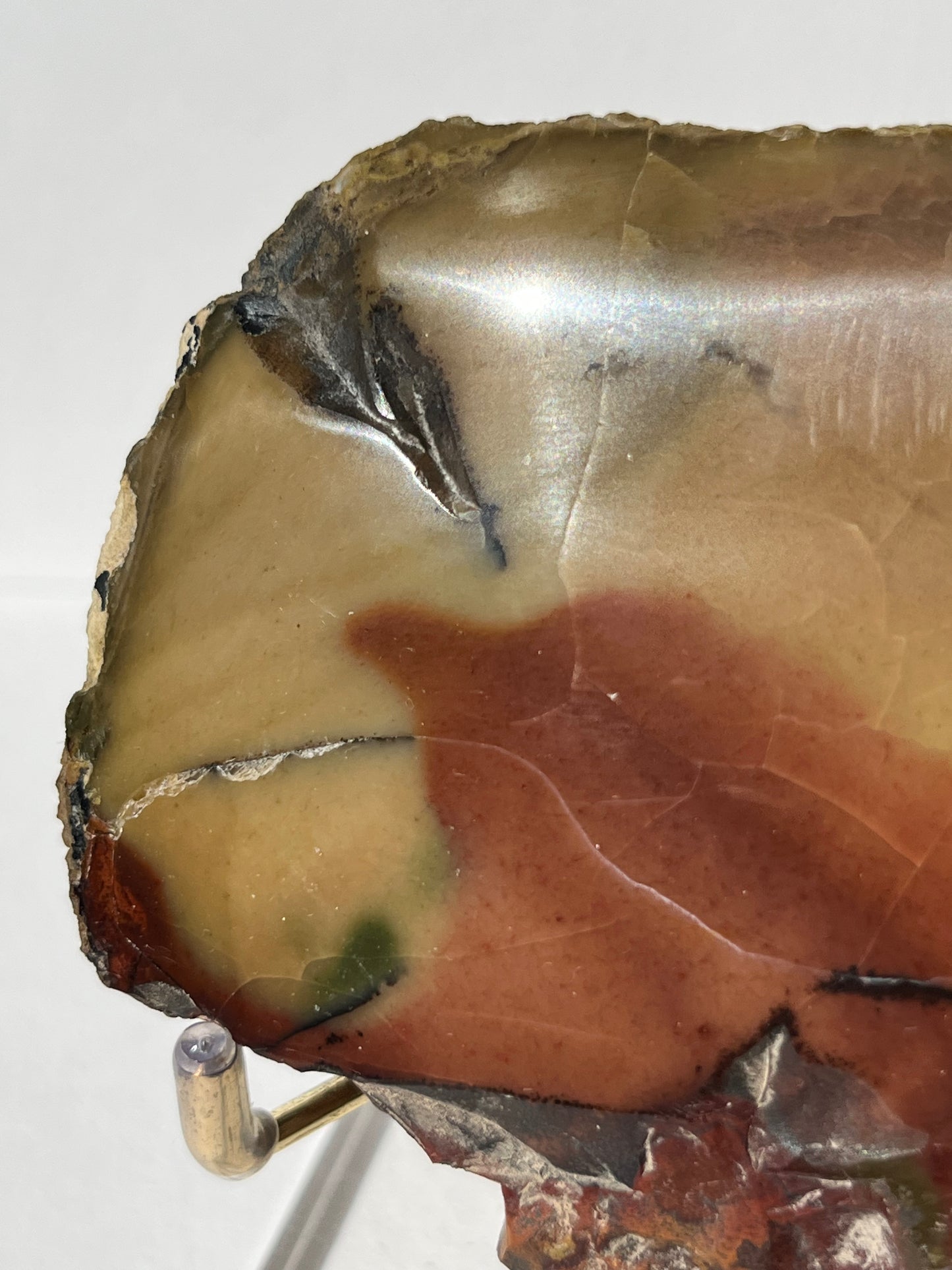 "Horus" Batu Seniman Picture Jasper Polished Slab A