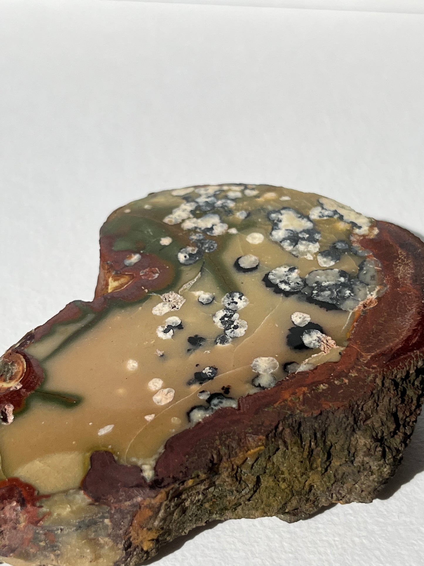 "Dandelion Trails" Batu Seniman Picture Jasper Polished Slab B