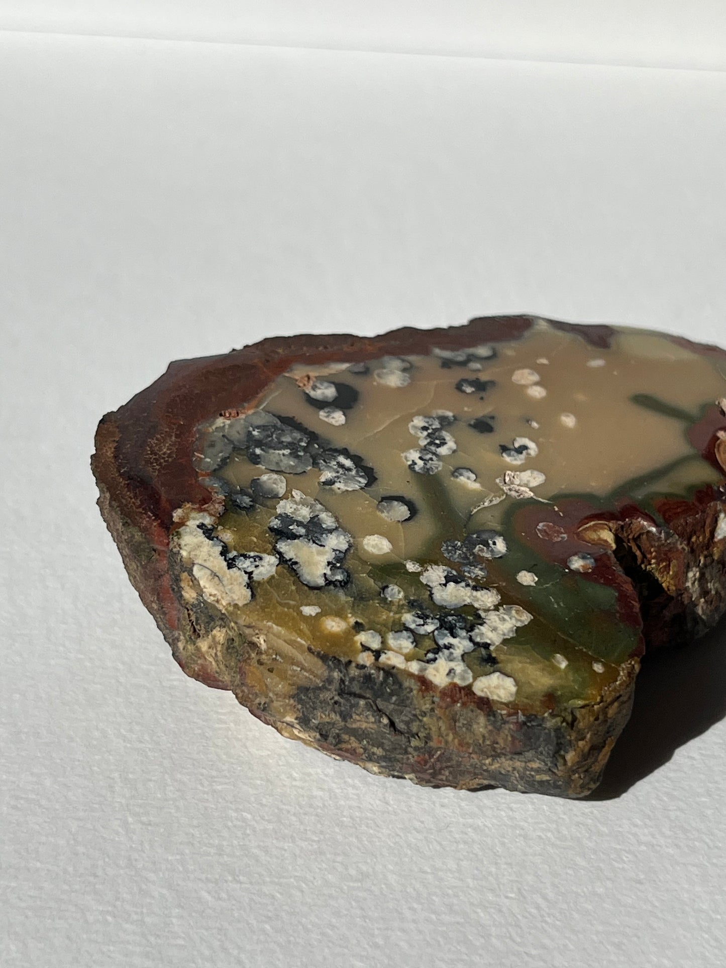 "Dandelion Trails" Batu Seniman Picture Jasper Polished Slab B