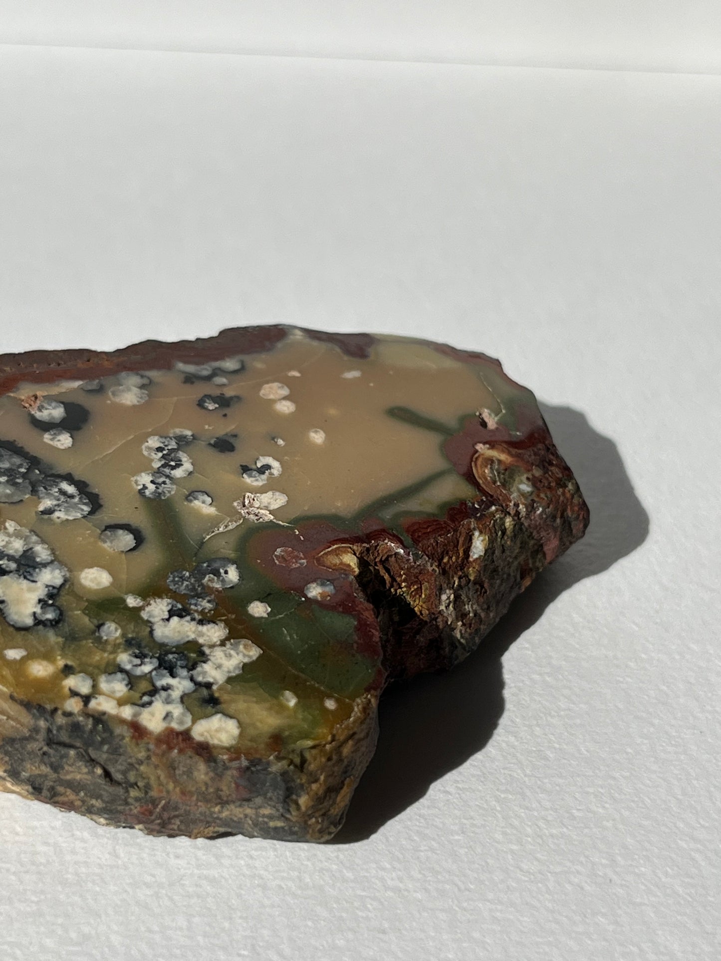 "Dandelion Trails" Batu Seniman Picture Jasper Polished Slab B