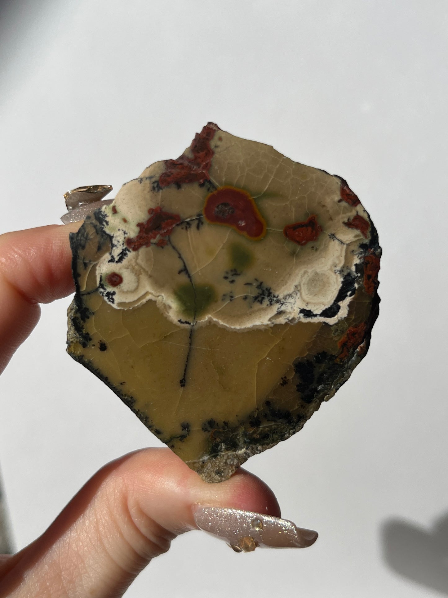 "Poppy in the Wind" Batu Seniman Picture Jasper Semi Polished Freeform C