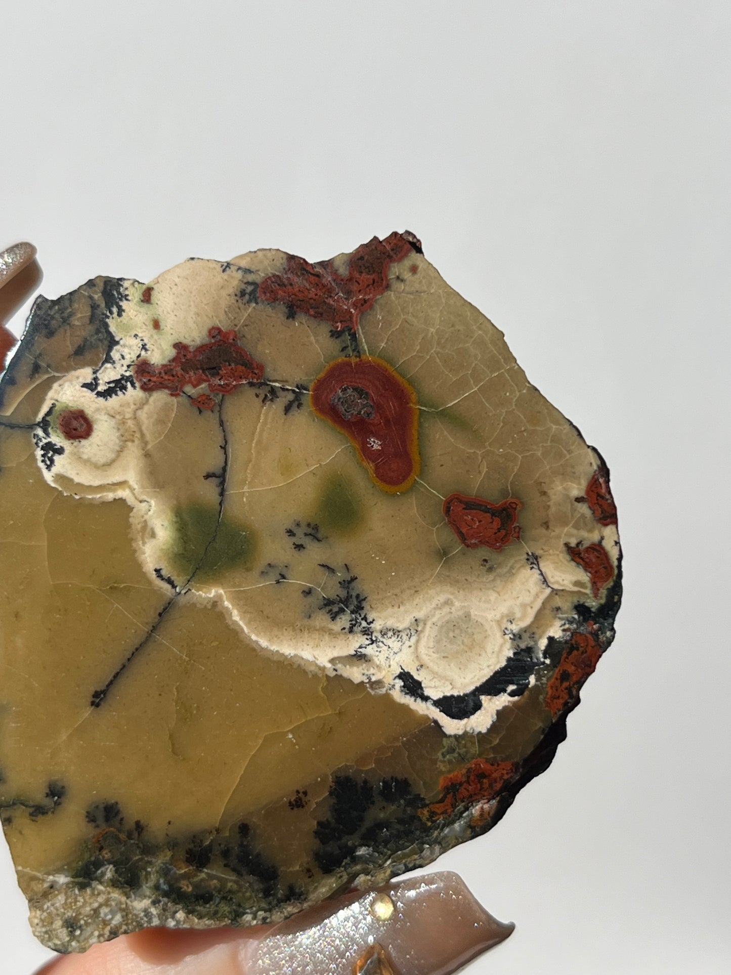 "Poppy in the Wind" Batu Seniman Picture Jasper Semi Polished Freeform C