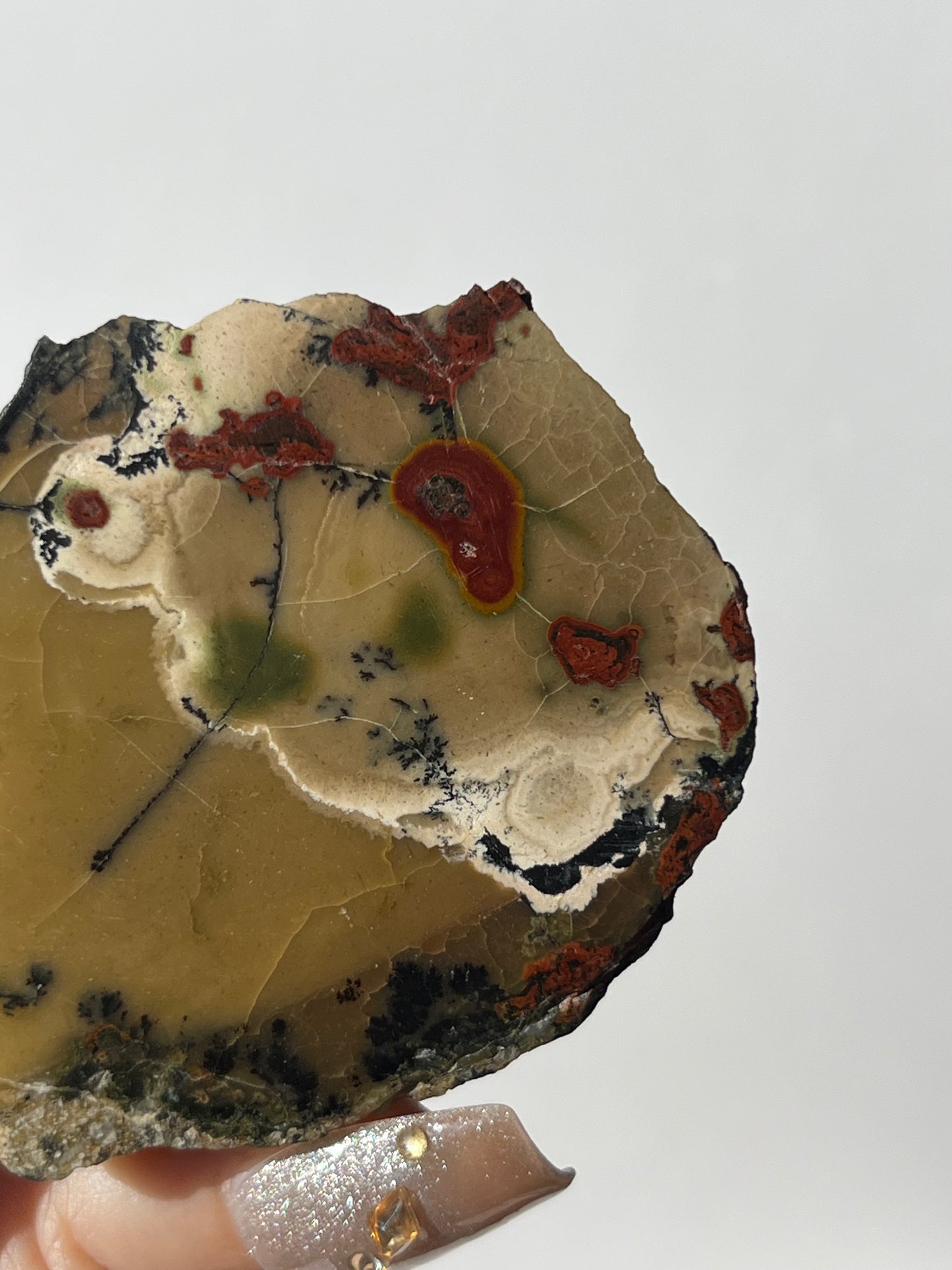 "Poppy in the Wind" Batu Seniman Picture Jasper Semi Polished Freeform C