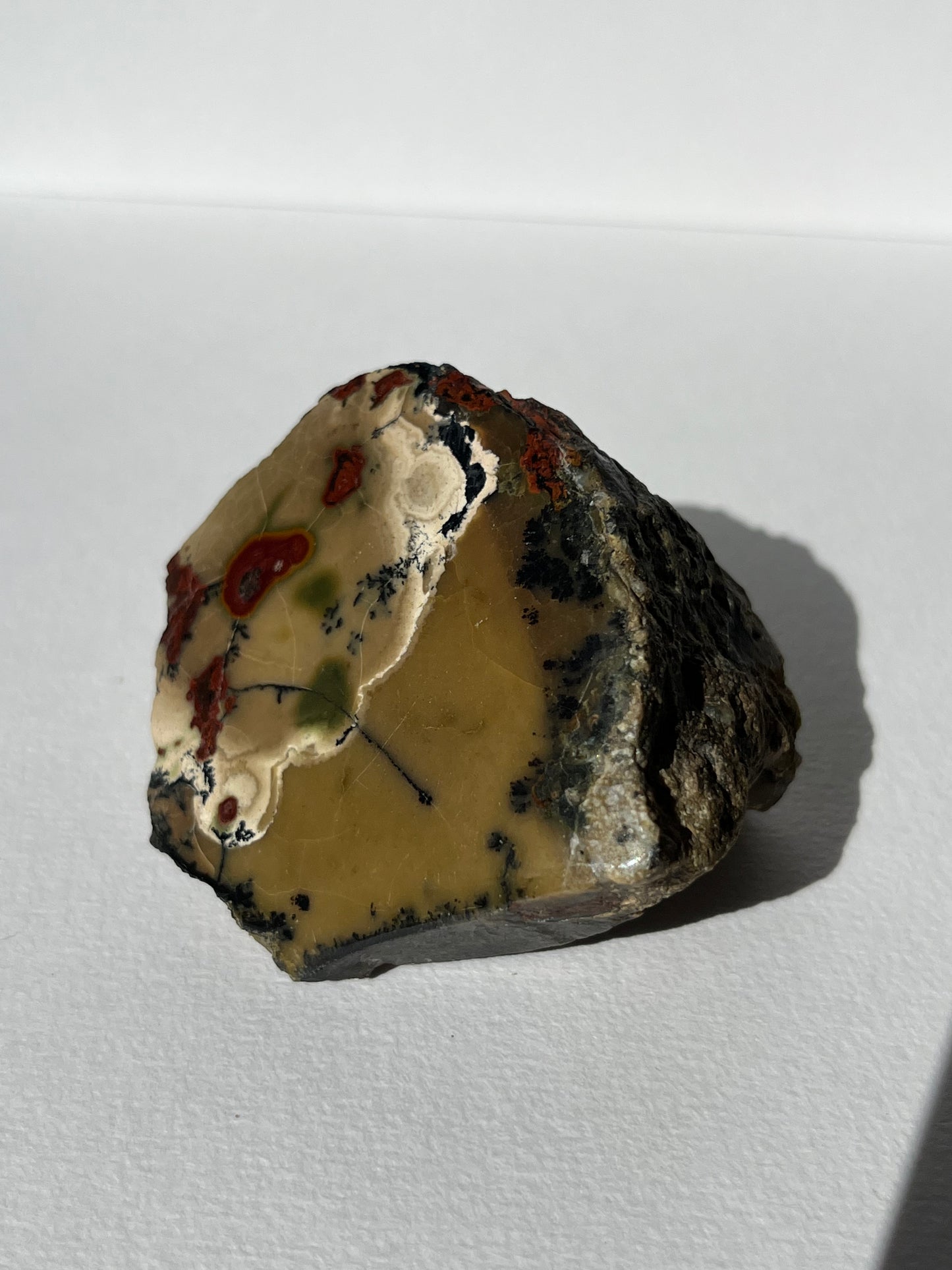 "Poppy in the Wind" Batu Seniman Picture Jasper Semi Polished Freeform C