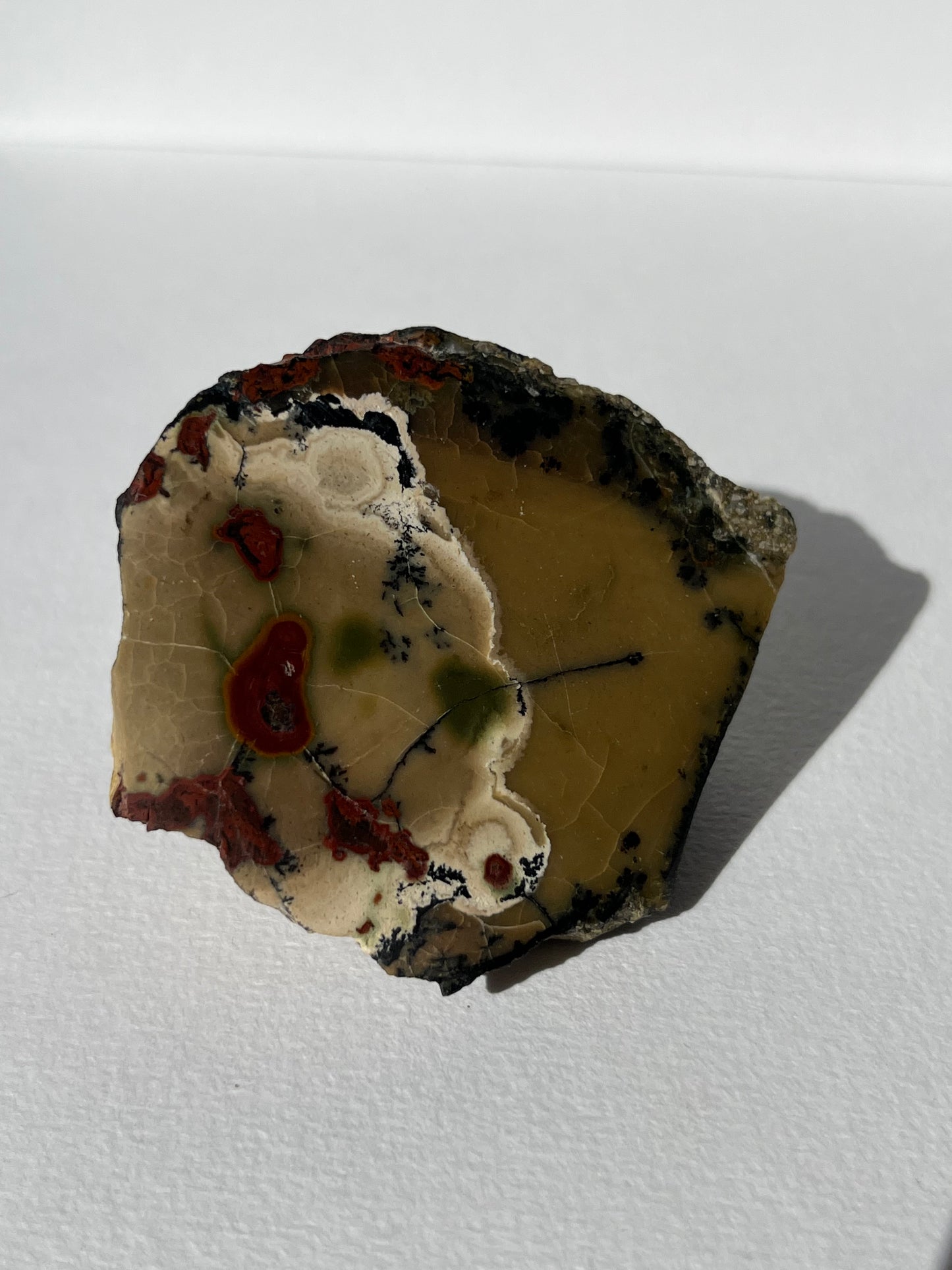 "Poppy in the Wind" Batu Seniman Picture Jasper Semi Polished Freeform C