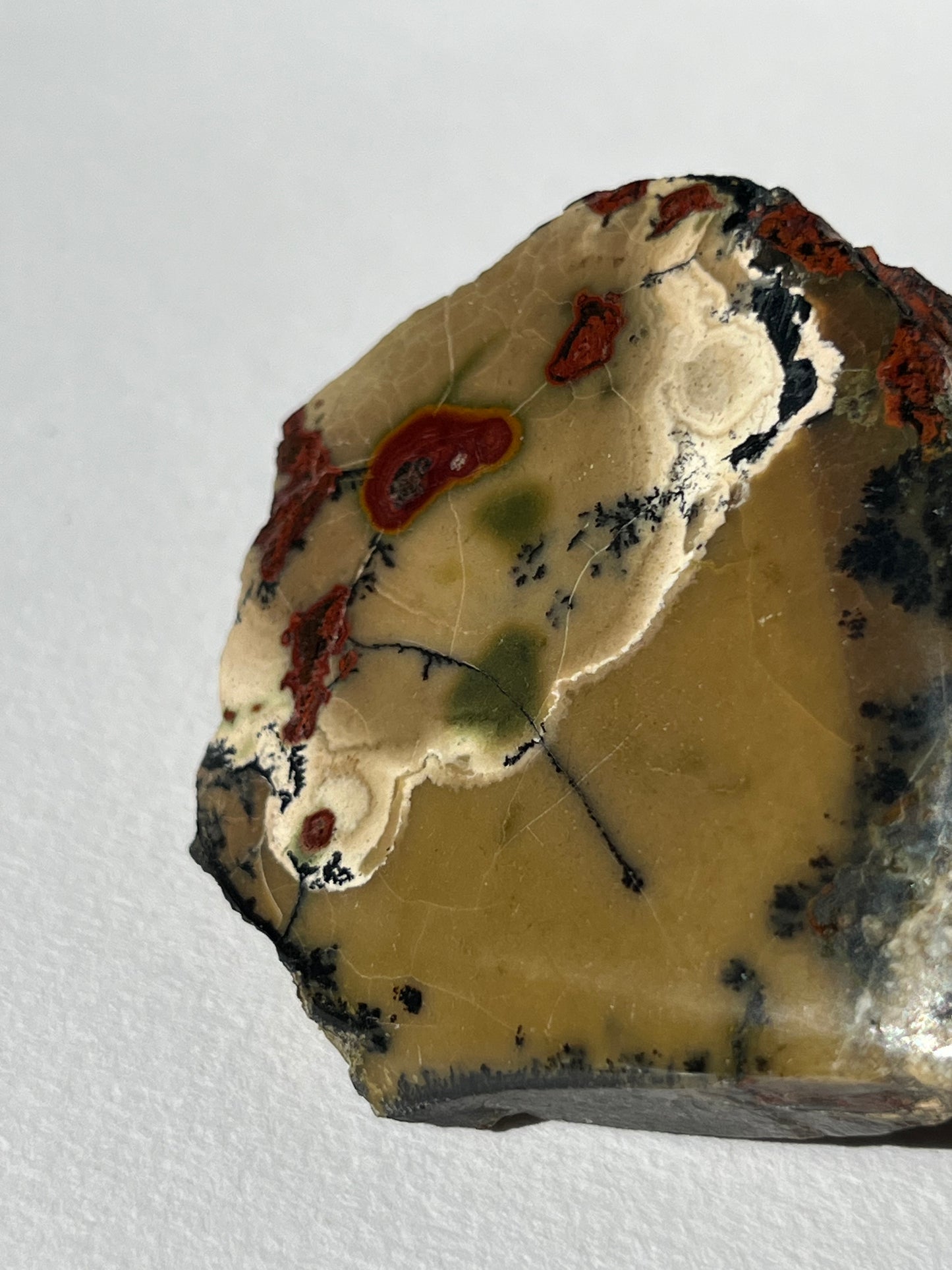 "Poppy in the Wind" Batu Seniman Picture Jasper Semi Polished Freeform C