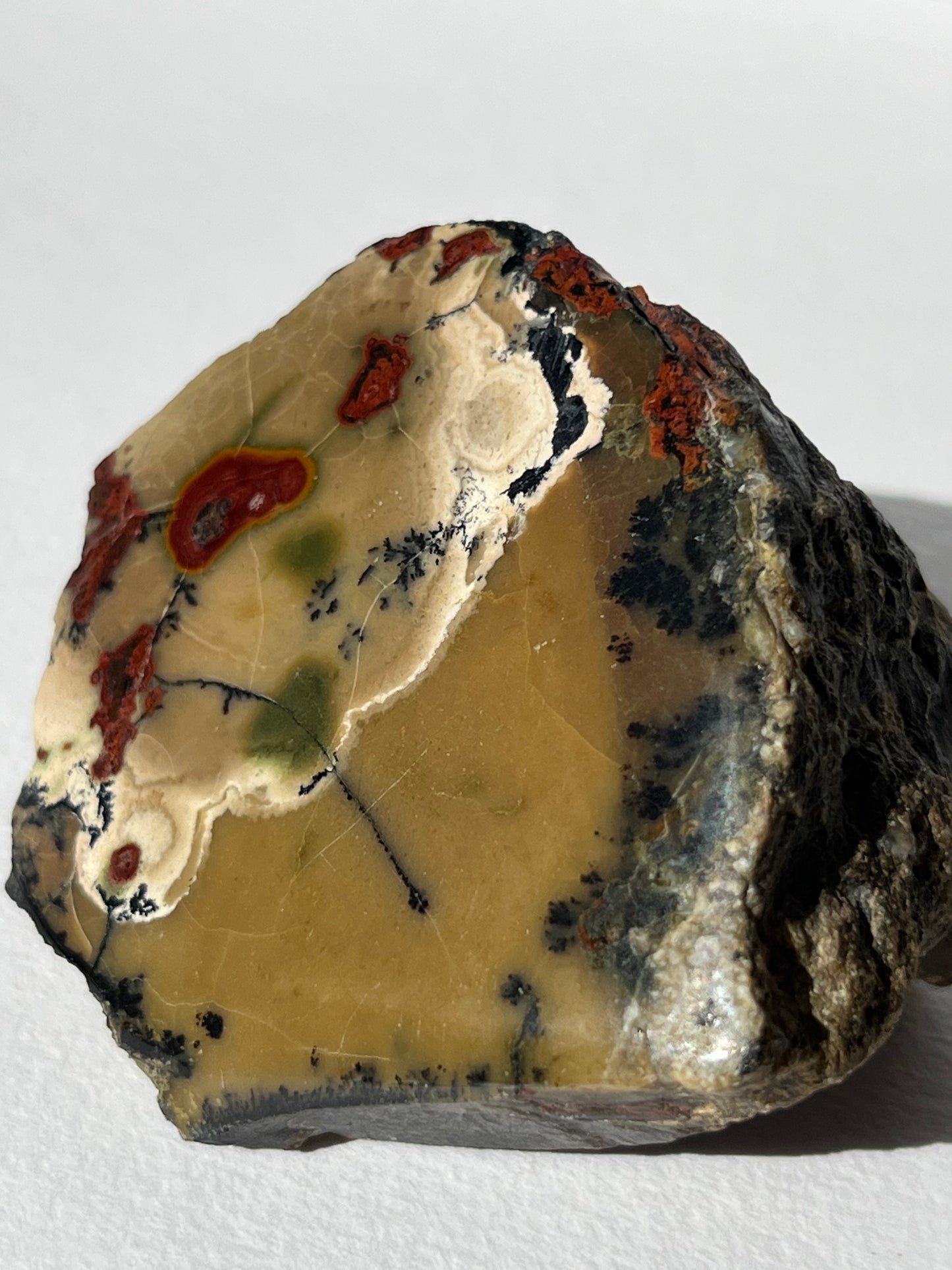 "Poppy in the Wind" Batu Seniman Picture Jasper Semi Polished Freeform C