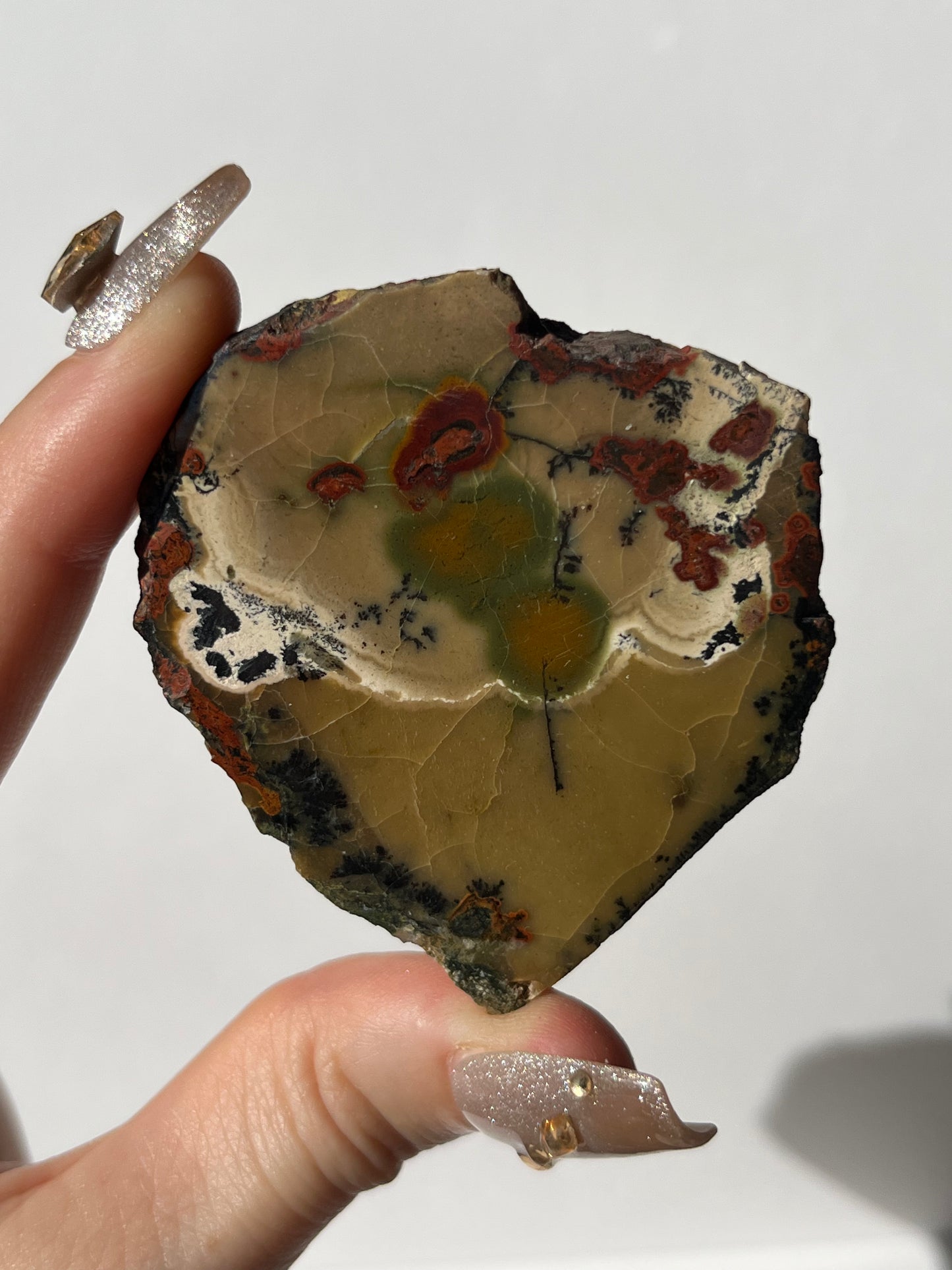 "Cottage Garden" Batu Seniman Picture Jasper Semi Polished Slab with Dendritic Inclusions D