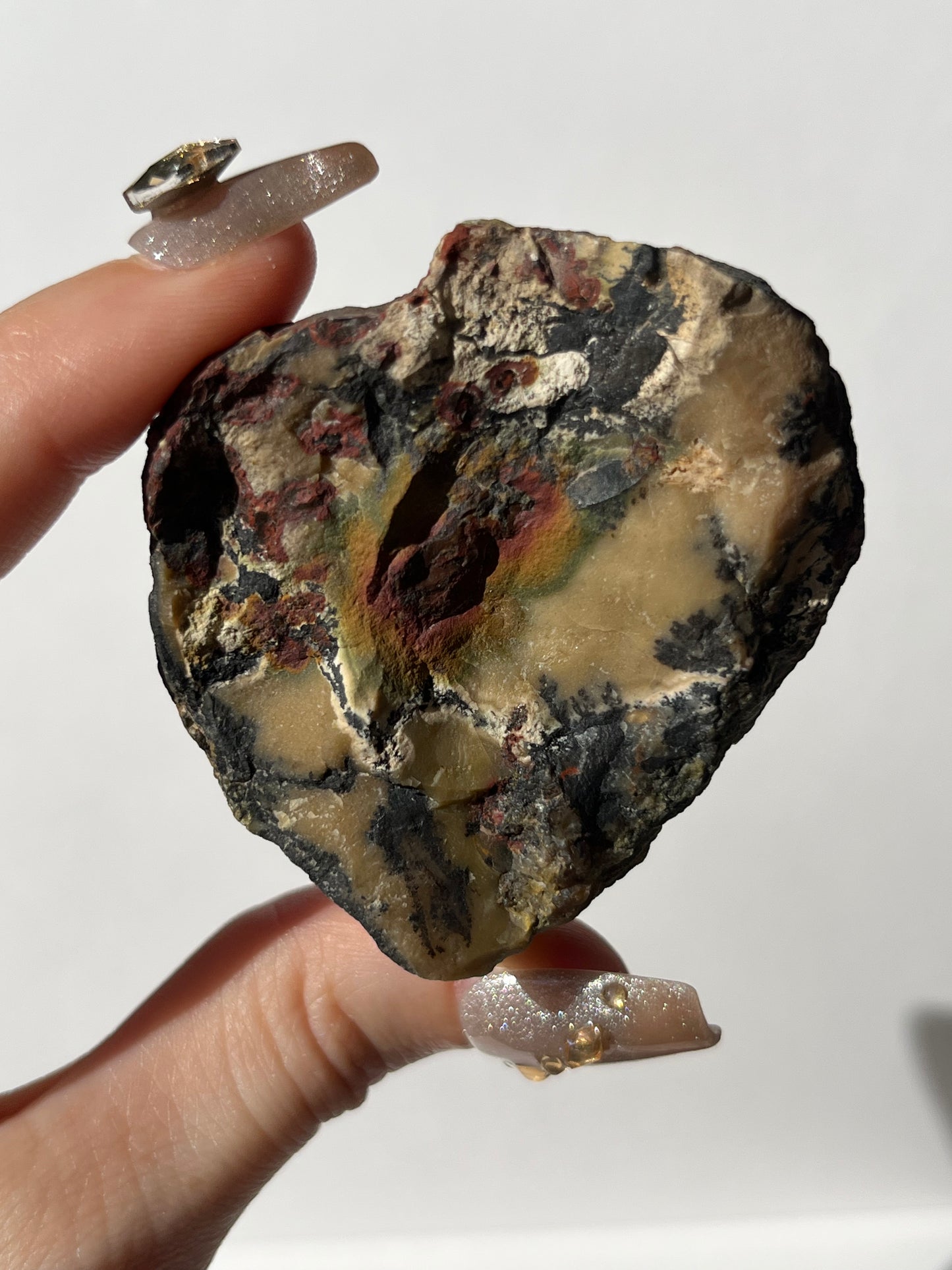 "Cottage Garden" Batu Seniman Picture Jasper Semi Polished Slab with Dendritic Inclusions D