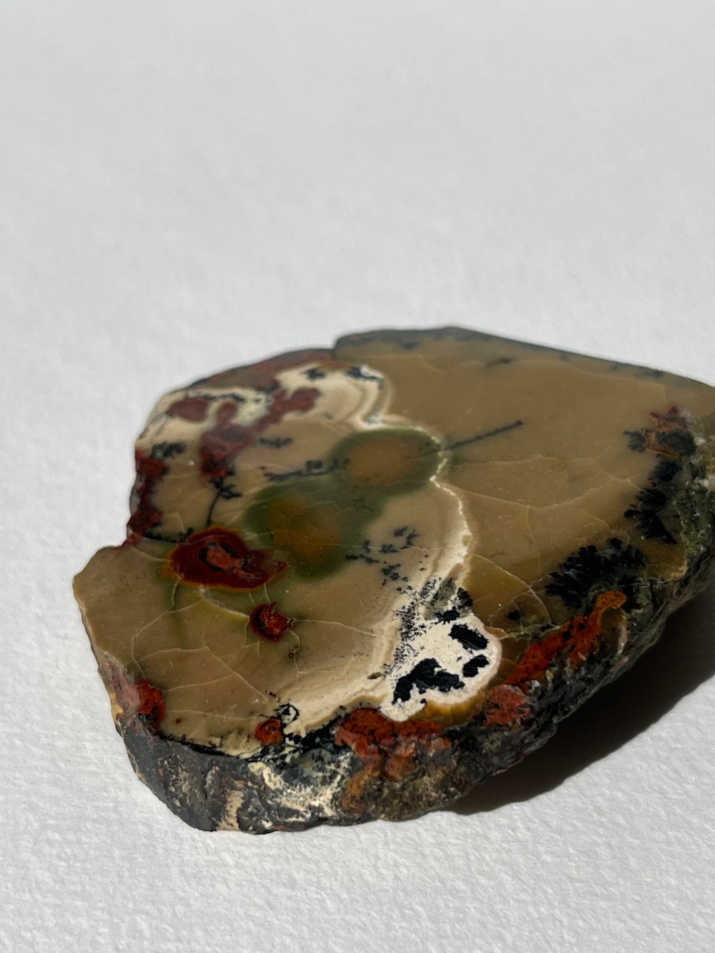 "Cottage Garden" Batu Seniman Picture Jasper Semi Polished Slab with Dendritic Inclusions D