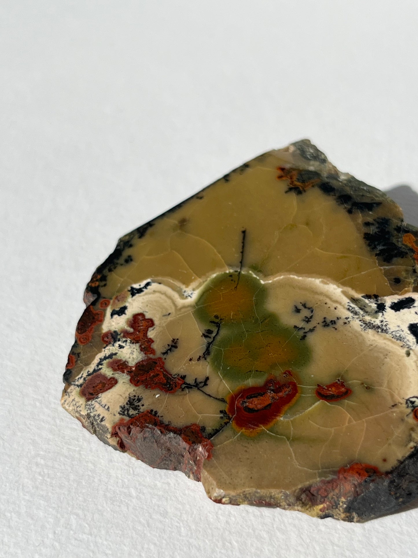 "Cottage Garden" Batu Seniman Picture Jasper Semi Polished Slab with Dendritic Inclusions D