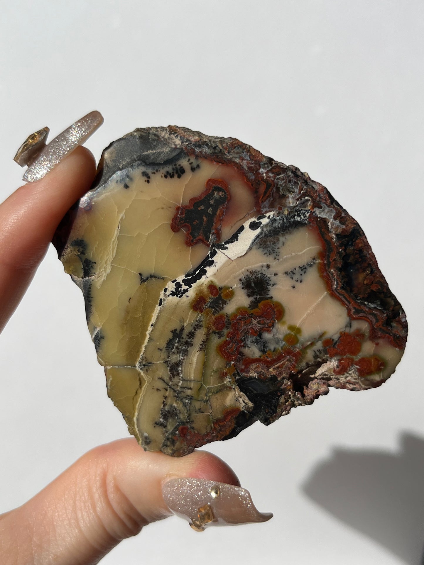 "The Sound of Music" Batu Seniman Picture Jasper Polished Slab with Dendritic Inclusions E