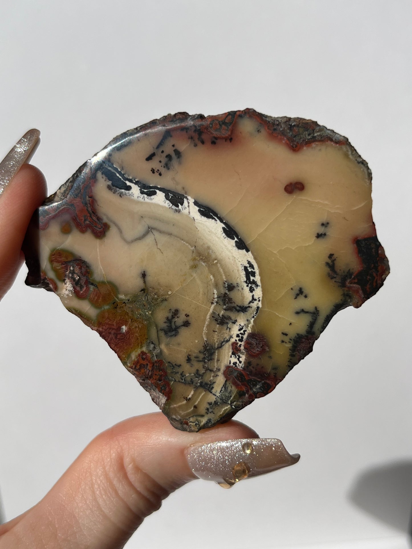 "The Sound of Music" Batu Seniman Picture Jasper Polished Slab with Dendritic Inclusions E