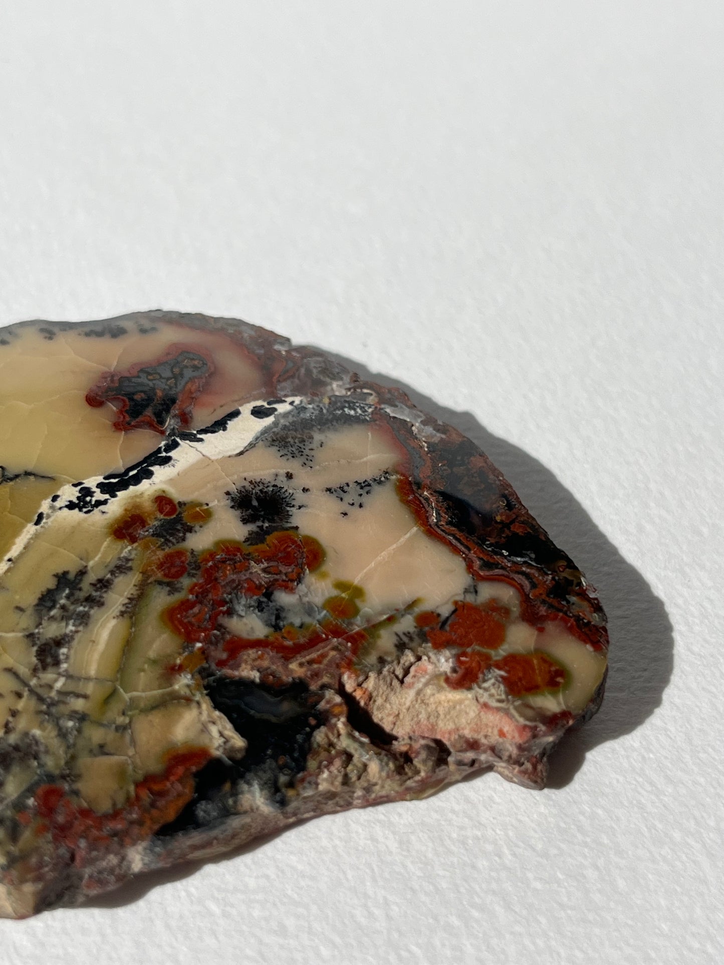 "The Sound of Music" Batu Seniman Picture Jasper Polished Slab with Dendritic Inclusions E