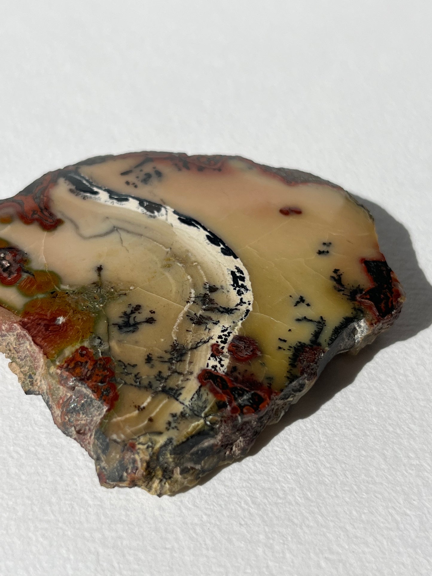 "The Sound of Music" Batu Seniman Picture Jasper Polished Slab with Dendritic Inclusions E