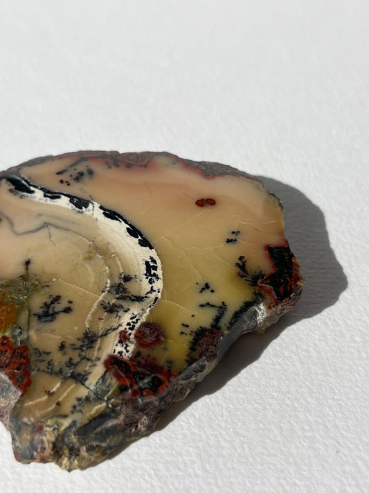 "The Sound of Music" Batu Seniman Picture Jasper Polished Slab with Dendritic Inclusions E