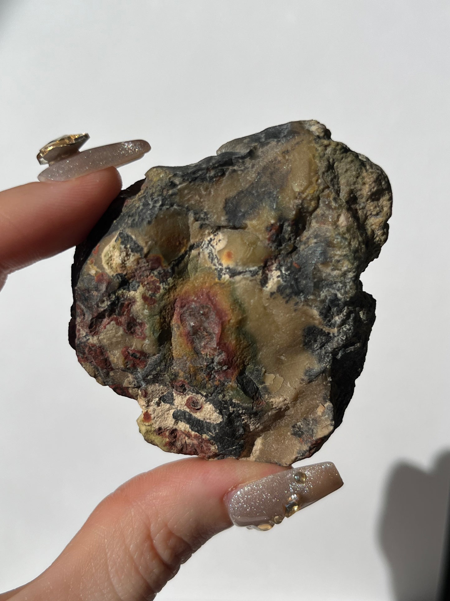 "The Painted Lady" Batu Seniman Picture Jasper Semi Polished Slab F