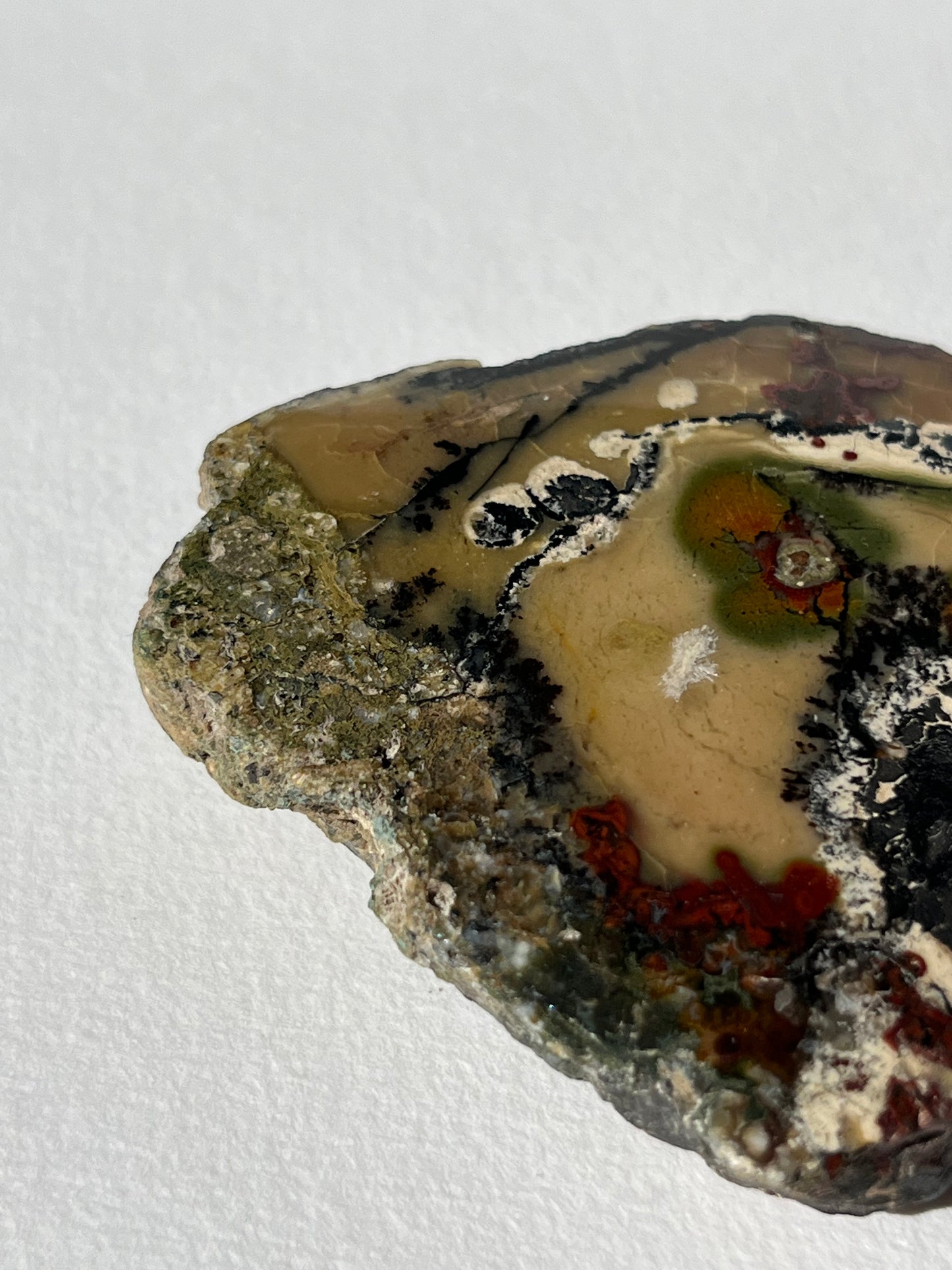 "The Painted Lady" Batu Seniman Picture Jasper Semi Polished Slab F