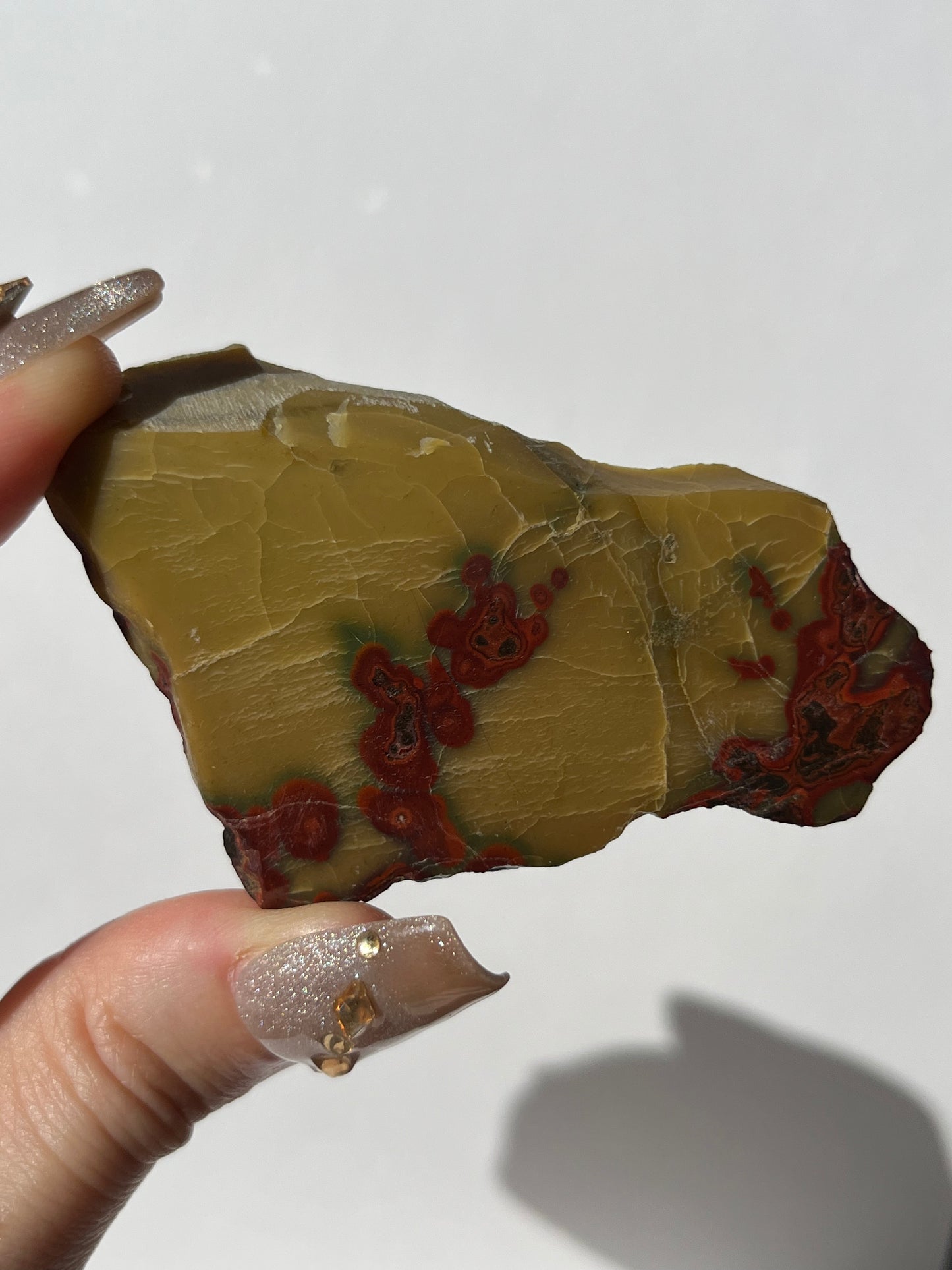 "Topeng Barong" Batu Seniman Picture Jasper Semi Polished Slab G