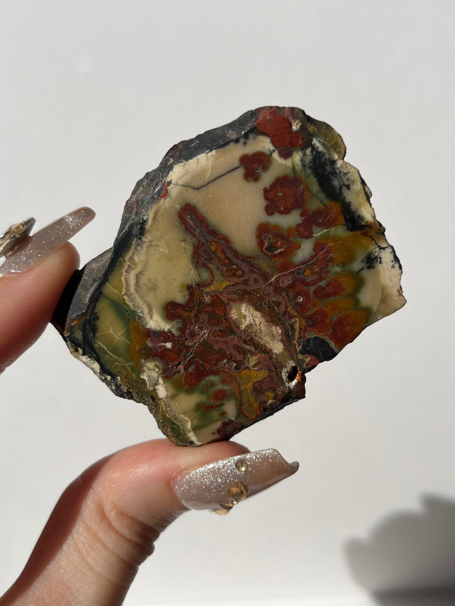 “Leafy Seadragon” Batu Seniman Picture Jasper Polished Slab H