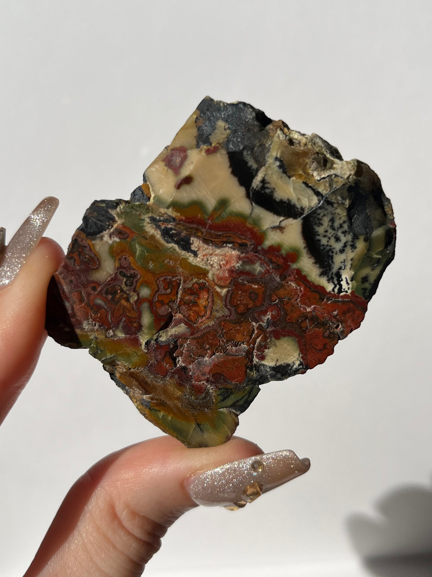 “Leafy Seadragon” Batu Seniman Picture Jasper Polished Slab H