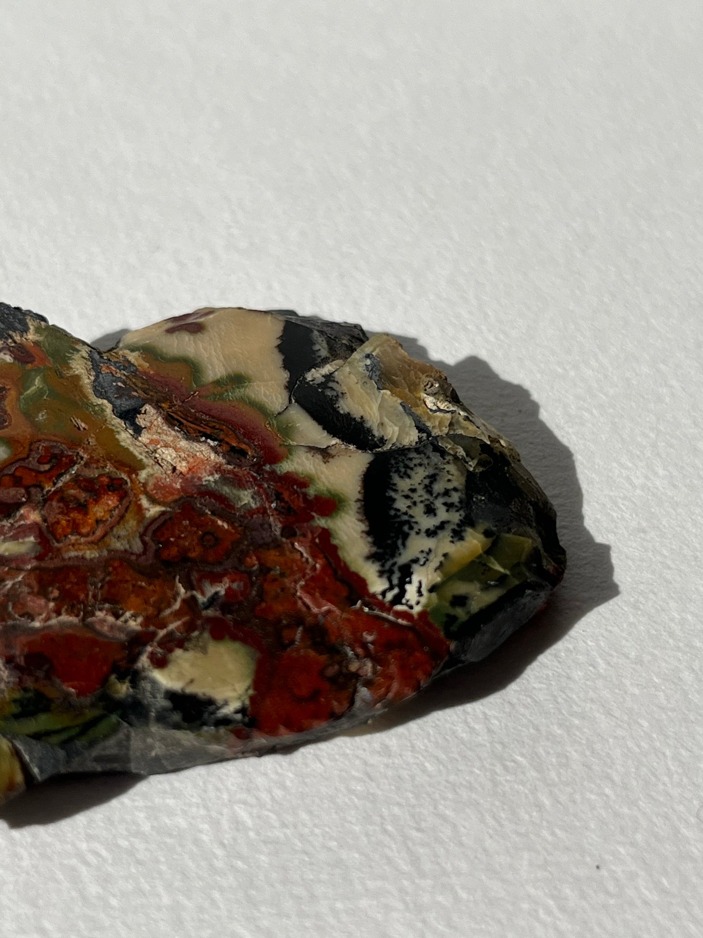 “Leafy Seadragon” Batu Seniman Picture Jasper Polished Slab H