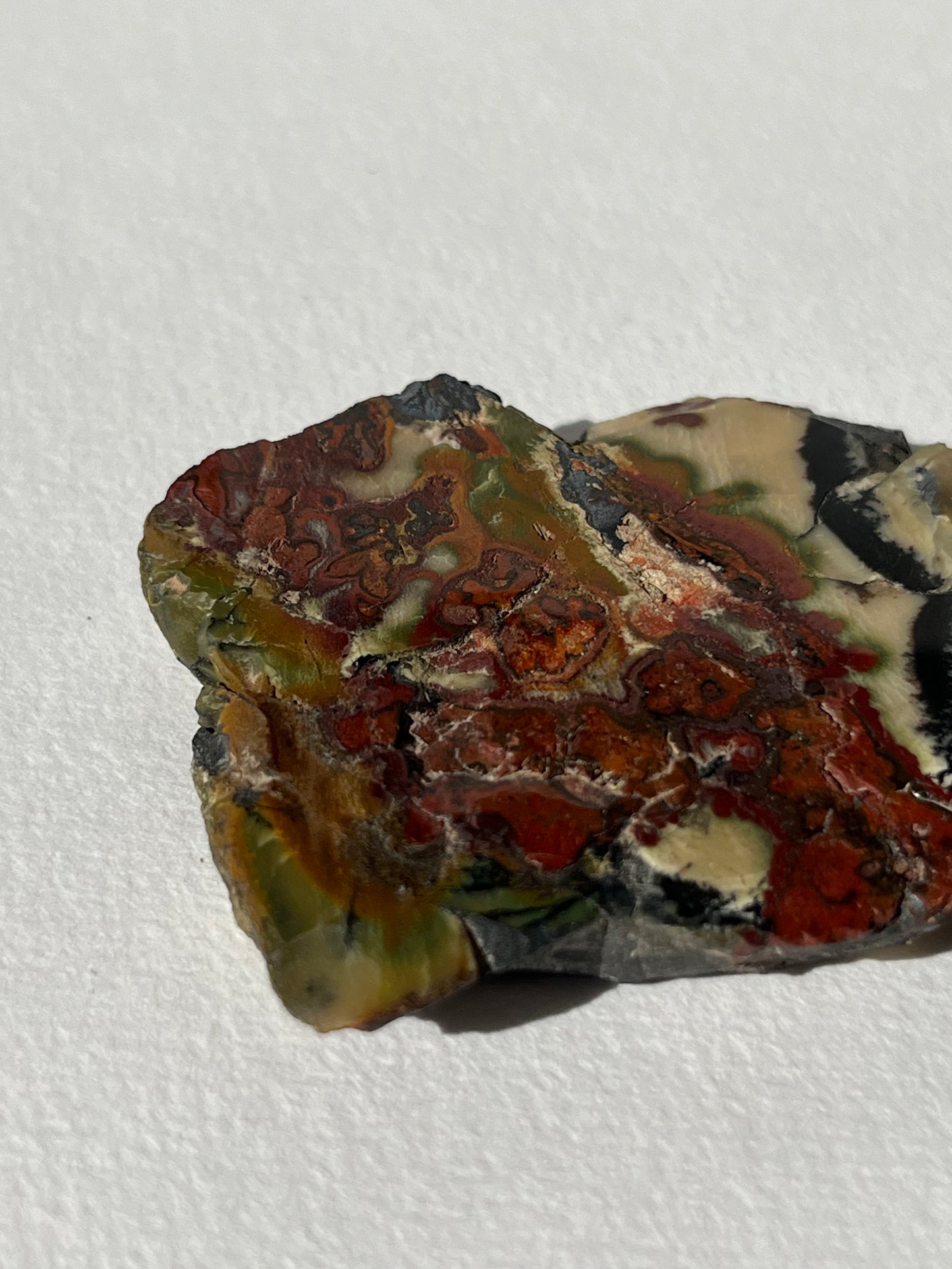 “Leafy Seadragon” Batu Seniman Picture Jasper Polished Slab H